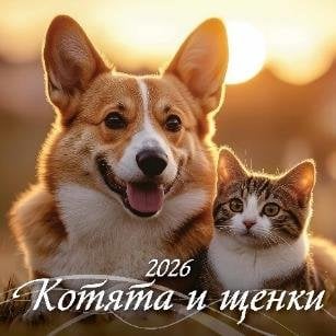 Котята и щенки