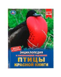Птицы Красной книги. Н. В. Седова. Энциклопедия с развивающими заданиями. 48 стр. Умка в кор.15шт