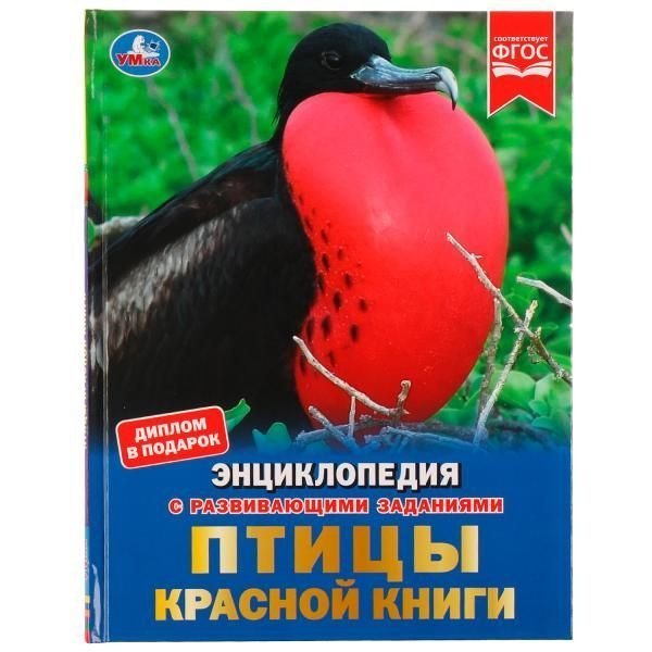Птицы Красной книги. Н. В. Седова. Энциклопедия с развивающими заданиями. 48 стр. Умка в кор.15шт