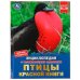 Птицы Красной книги. Н. В. Седова. Энциклопедия с развивающими заданиями. 48 стр. Умка в кор.15шт