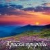 Краски природы