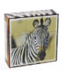 Кубики пластмассовые Животные Африки 9 шт