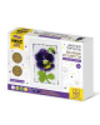 Набор для творчества. Валяние из шерсти Анютины глазки с рамкой