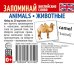Набор из 20 карточек. Запоминай английские слова. ANIMALS ЖИВОТНЫЕ