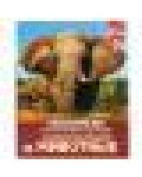 Самые большие животные. Энциклопедия А4 с развивающими заданиями. 48 стр. Умка в кор.15шт