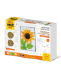 Набор для творчества. Валяние из шерсти Подсолнух с рамкой