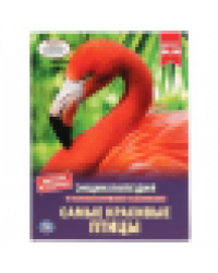 Самые красивые птицы. Энциклопедия А4 с развивающими заданиями. 197х255мм. 48 стр. Умка в кор.15шт