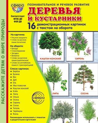 Дем. картинки СУПЕР Деревья и кустарники. 16 демонстрационных картинок с текстом В ПАПКЕ 173х220 мм