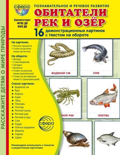 Дем. картинки СУПЕР Обитатели рек и озер. 16 демонстрационных картинок с текстом В ПАПКЕ 173х220 мм