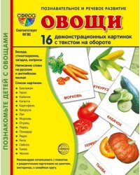 Дем. картинки СУПЕР Овощи. 16 демонстрационных картинок с текстом на обороте учебно-методическое пособие с комплектом демонстрационного материала 173х220 мм, познавательное и речевое развитие
