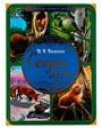 Сказки леса. В.В. Бианки. Большая книга сказок. 240х320мм, 48 стр. , мел. бумага. Умка в кор.14шт