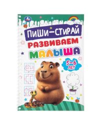Пиши-Стирай. Развиваем малыша. 5-6 лет. 165х240 мм. Навивка. 16 стр. Умка в кор.30шт
