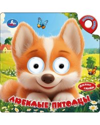Любимые питомцы книги с глазками и задвижкой 160х160 8стр Умка в кор.60шт