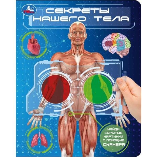 Обложка книги «Секреты нашего тела. книга с цвет. лупами 160х200 10стр Умка в кор.80шт», ISBN 9785506106968