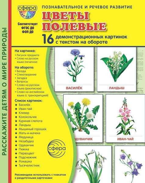 Дем. картинки СУПЕР Цветы полевые. 16 демонстрационных картинок с текстом В ПАПКЕ 173х220 мм