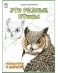 Эти разные птицы.Посмотри и раскрась