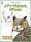 Посмотри и раскрась (Бэст) Эти разные птицы.Посмотри и раскрась