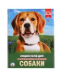 Собаки. Энциклопедия А4 с развивающими заданиями. Формат: 197х255 мм. 48 стр. Умка в кор.15шт