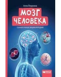 Мозг человека: самая умная энциклопедия .