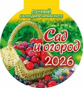 Сад и огород Сад и огород