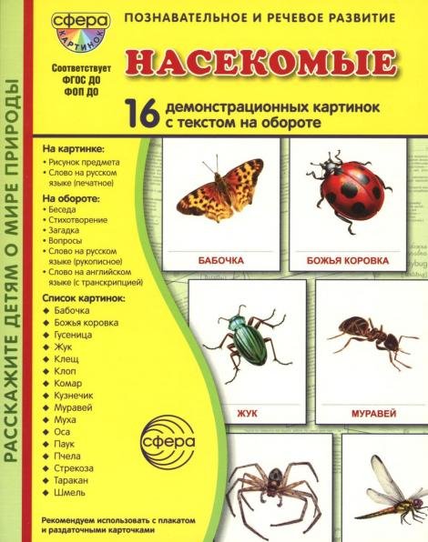 Дем. картинки СУПЕР Насекомые В ПАПКЕ. 16 демонстрационных картинок с текстом 173х220 мм