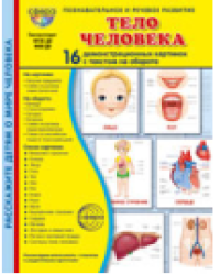Дем. картинки СУПЕР Тело человека. 16 демонстрационных картинок с текстом В ПАПКЕ 173х220 мм