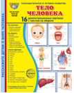 Дем. картинки СУПЕР Тело человека. 16 демонстрационных картинок с текстом В ПАПКЕ 173х220 мм