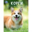 Корги и другие породы собак. Энциклопедия с развивающими заданиями. 197х255мм. 48стр. Умка в кор15шт