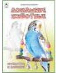 Домашние животные.Посмотри и раскрась