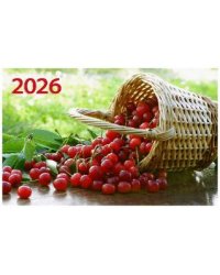 Спелая вишня