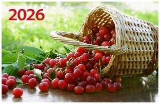 Спелая вишня