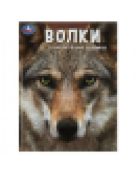 Волки. В царстве лесных охотников.Энциклопедия А4 с развивающими заданиями48 стр. Умка. в кор.15шт