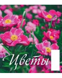 Цветы