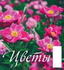Цветы