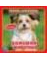 Домашние животные Дружинина карт. книга 3 разв. с 4 тактил. эл-тами 120х120мм Умка в кор.144шт