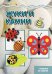 Мастерилка. Жуки и камни. Поделки из камней для детей 5-7 лет
