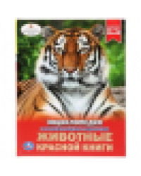 Животные красной книги. Энциклопедия А4 с развивающими заданиями. 48 стр. Умка в кор.15шт