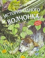 КК История одного волчонка. Рассказ