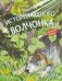 КК История одного волчонка. Рассказ