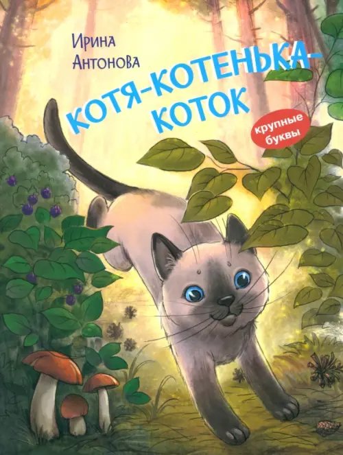 КК Котякотенькакоток. Рассказ