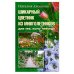 Шикарный цветник из многолетника