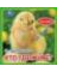 Кто где живёт. Дружинина карт. книга 3 разв. с 4 тактил. эл-тами 120х120мм Умка в кор.144шт