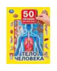 Тело человека. 50 окошек для малышей. 200х260 мм. 10 картонных страниц. Умка в кор.20шт