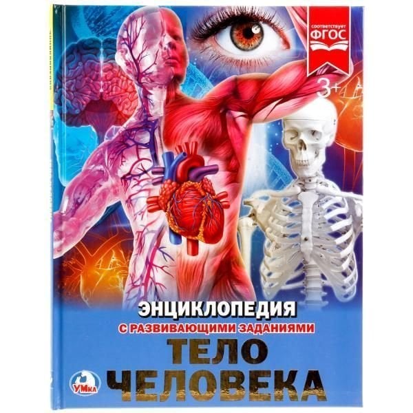 Тело человека. Энциклопедия А4 с развивающими заданиями. Тв. переплет. 48стр. Умка в кор.15шт Тело человека. Энциклопедия А4 с развивающими заданиями. Тв. переплет. 48стр. Умка в кор.15шт