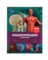 Тело человека. Энциклопедия А4. Все обо всем. 197х255мм, 192 стр. офсет бумага.Умка в кор.6шт