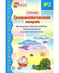 Грамматическая тетрадь 2. Местоимения. Простые предлоги. Существительные во множественном числе. Соответствует ФГОС ДО