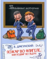 ШИ Пожар во флигеле, или подвиг во льдах