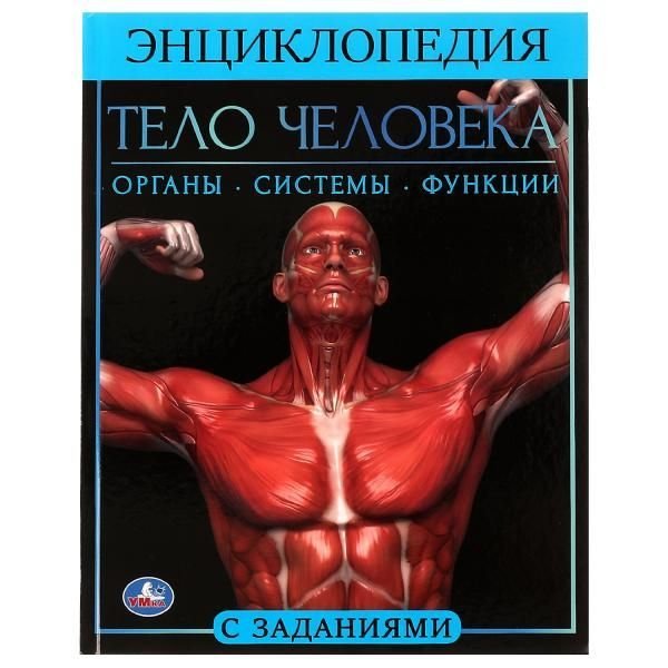 Тело человека. Энциклопедия А4. 197х255мм, 48 стр.мелов. бумага, тв. переплет, Умка в кор.15шт
