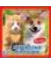 Пушистые малыши Степанов В.А. карт. книга 3 разв. с 4 тактил. эл-тами 120х120мм Умка в кор.144шт