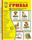 Дем. картинки СУПЕР Грибы. 16 демонстрационных картинок с текстом В ПАПКЕ 173х220 мм